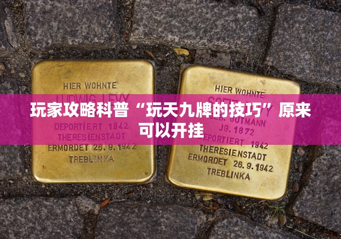 玩家攻略科普“玩天九牌的技巧	”原来可以开挂