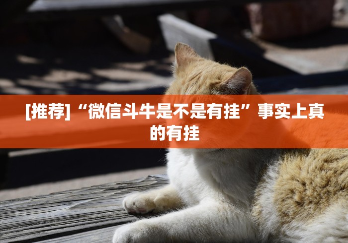 一分钟讲解“白金岛手游放炮罚有挂吗”详细开挂玩法