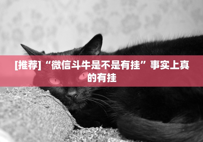 [推荐]“微信斗牛是不是有挂”事实上真的有挂
