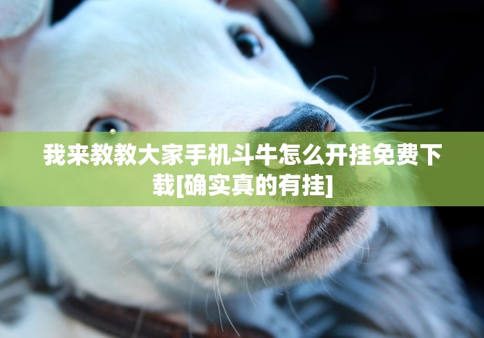 实测工具“微乐锄大地怎么拿好牌	”(曝光透视必备猫腻)