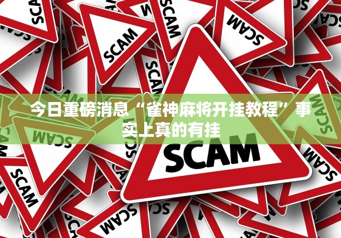 开挂辅助工具“白金岛挂	”详细开挂教程