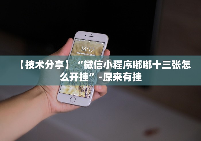 玩家热议“微信里的微乐斗地主挂”(原来确实是有插件) 