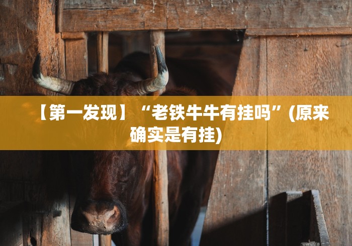 科普实测“新星游拼三张能不能开挂”(其实是有挂)