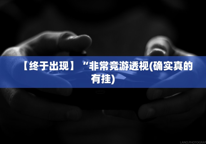 【终于出现】“非常竞游透视(确实真的有挂)