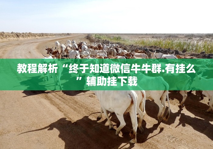 重大来袭“红心无锡麻将拼罗松有挂吗(详细真的有挂)-知乎