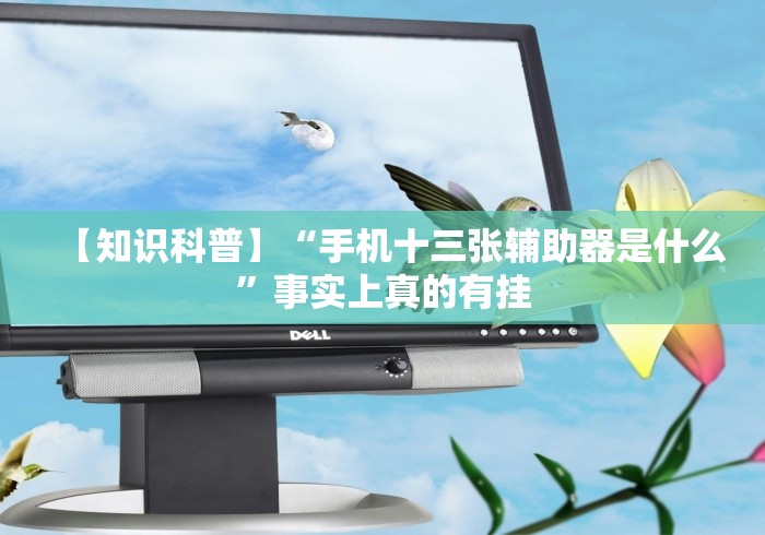 【知识科普】“手机十三张辅助器是什么	”事实上真的有挂