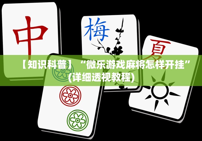丰富分享“微信13水怎么开挂”详细开挂教程