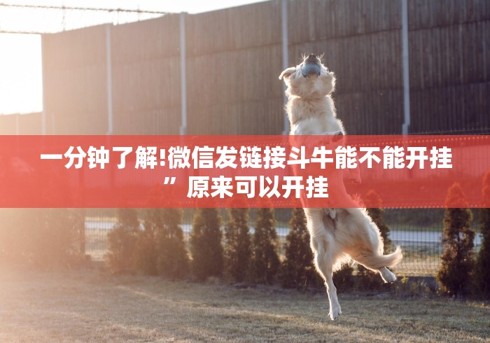 知识教程!兴动互娱麻将有挂吗	”开挂辅助教程