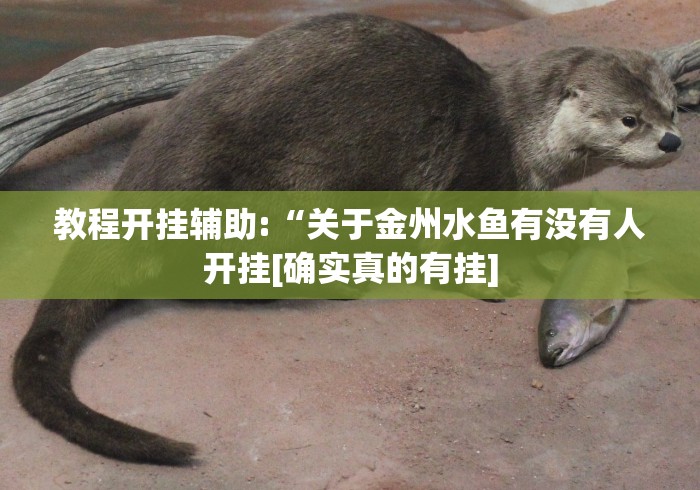 知识科普“微乐游戏提高胜率”有挂详细开挂教程