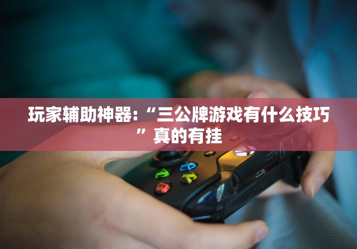 万能开挂辅助“微乐挖坑怎样免费开挂”-详细教程