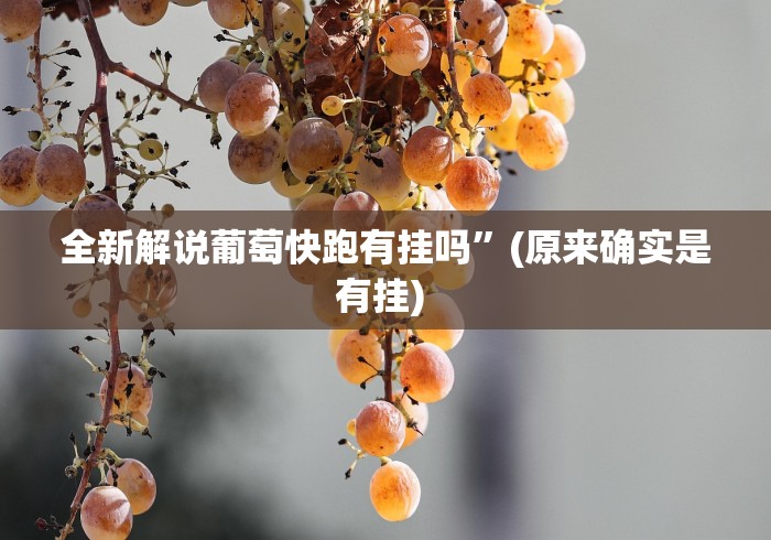 [8秒详论]“玩牌手气不好怎么办”详细开挂教程