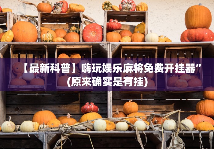 推荐辅助使用‘微乐石家庄麻将怎么提高胜率”辅助工具插件,揭秘技巧开挂