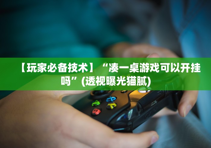 2026首发辅助“功夫川麻老是输什么情况”附开挂脚本详细教程
