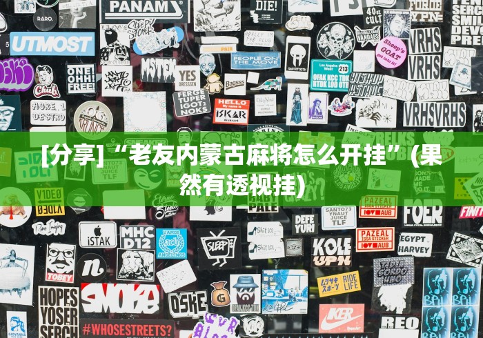 一分钟讲解“十三水开挂方法”其实有开挂插件!