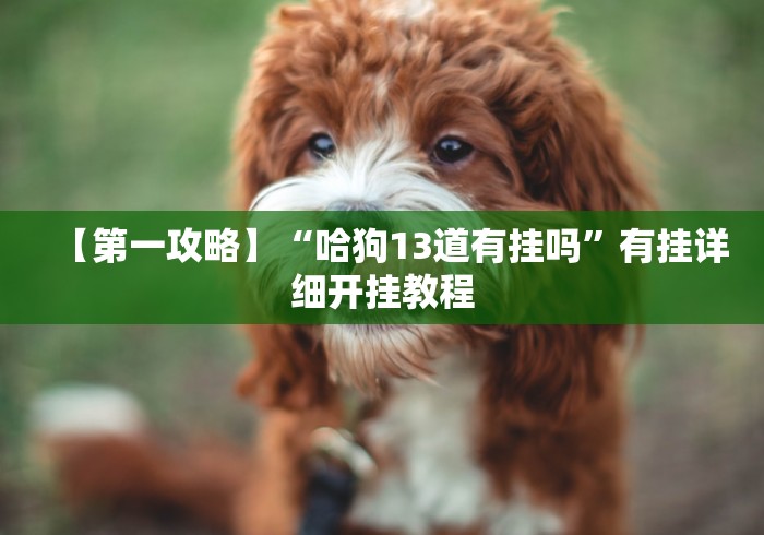 【第一发现】“微信跑得快有没有挂	”掌握辅助功能必胜规则