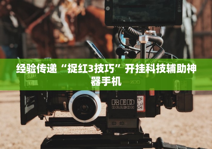 全新解说微乐透视挂免费下载”开挂详细教程