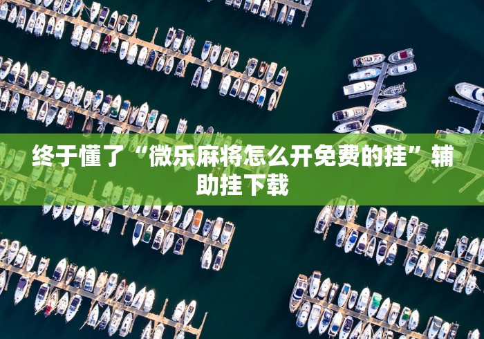 最新一款“约战麻将技巧”分享用挂教程