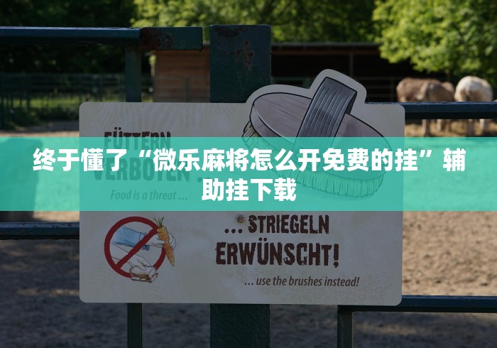 盘点一款“天天跑得快有没有挂	”详细开挂玩法