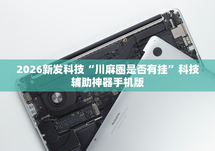 【第一资讯】“乐友汇麻将有挂吗(透视挂真的假的)