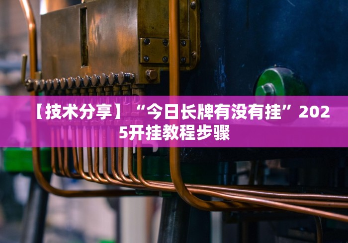 【技术分享】“今日长牌有没有挂”2025开挂教程步骤