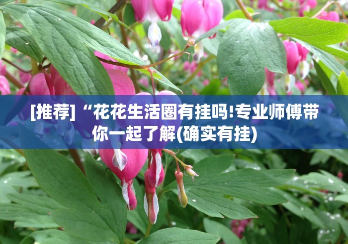 推荐辅助使用‘微乐江苏麻将开挂免费下载安装苹果版	”有挂详细开挂教程