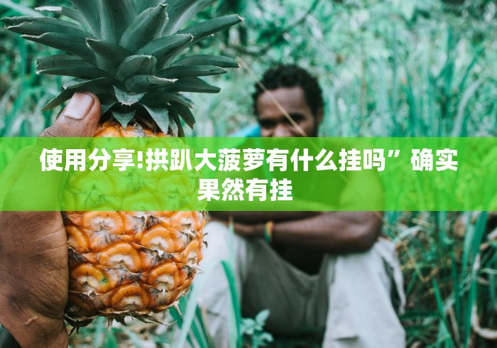 全新解说乐酷副厅能开挂吗”最新辅助详细教程