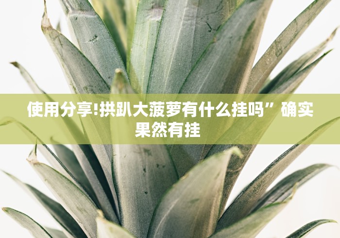 教程开挂辅助“微信开心十三张有挂吗”确实果然有挂 