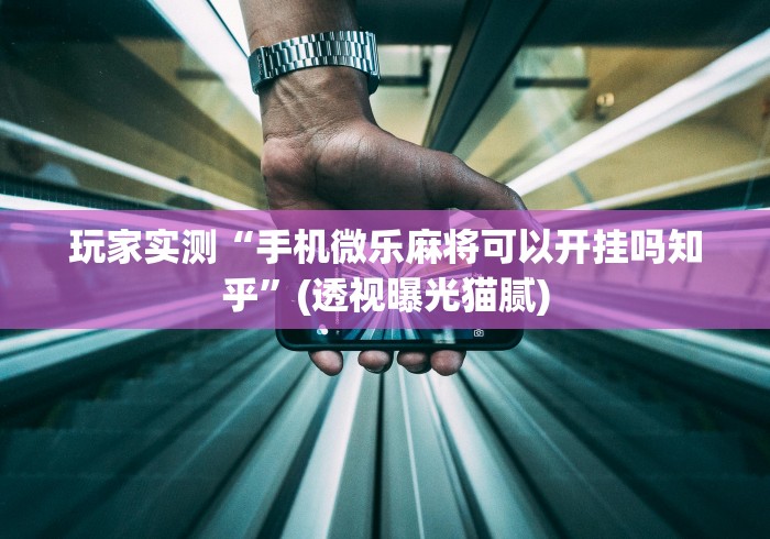 玩家实测“手机微乐麻将可以开挂吗知乎	”(透视曝光猫腻)