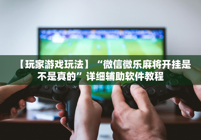 2026首发辅助“微乐填大坑透视怎么弄的(详细透视开挂教程)