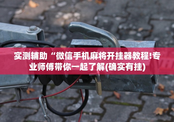 玩家必备十款跑胡子牌有什么技巧[确实真的有挂]