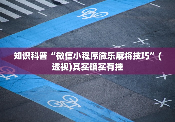 知识科普“微信小程序微乐麻将技巧”(透视)其实确实有挂
