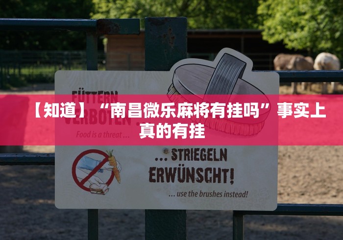 【今日头条】“微乐干瞪眼开挂视频软件”分享辅助外挂教程