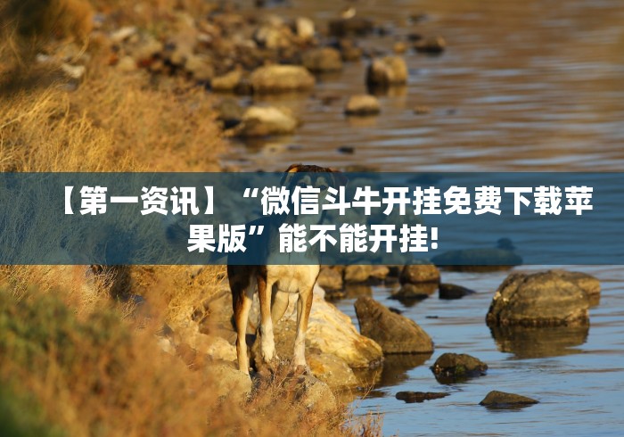 【第一资讯】“微信斗牛开挂免费下载苹果版	”能不能开挂!