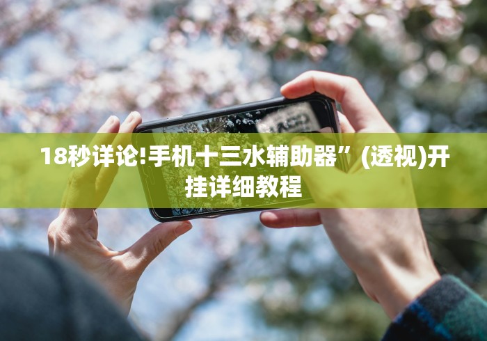 一分钟介绍应用“罗松十三张有没有挂	”详细分享装挂
