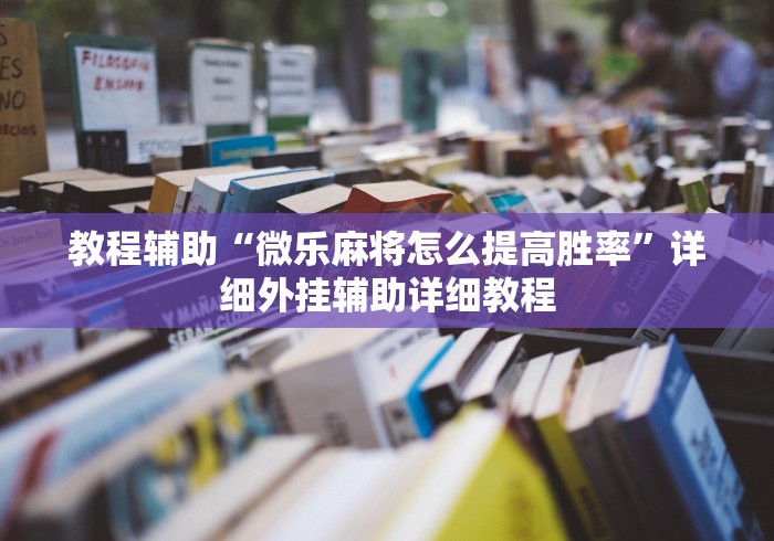 【第一攻略】“爱玩联盟透视挂”(原来确实是有插件)