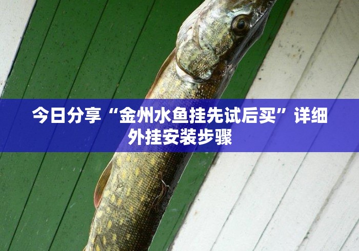 今日分享“金州水鱼挂先试后买	”详细外挂安装步骤