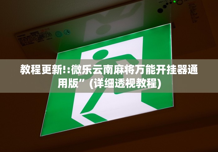 最新技术“打罗松必胜口诀顺口溜”-揭秘开挂教程分享