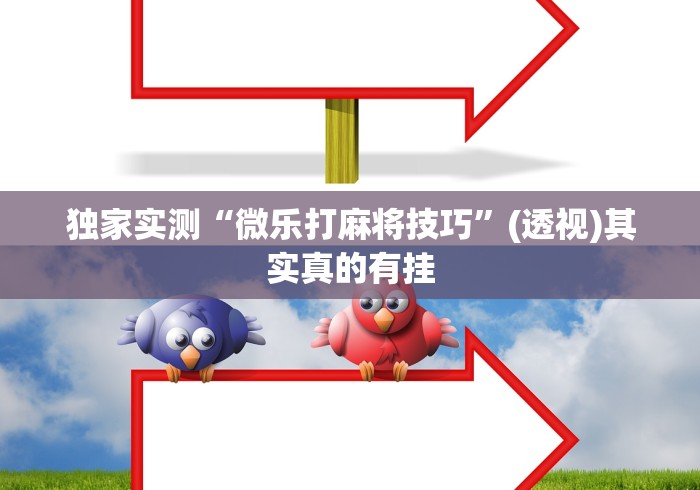 必看科普“微乐苏州麻将怎么提高胜率”(原来确实是有插件)