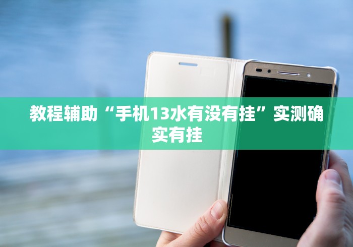理论分享“鑫豪天地小九的挂靠方式”(果然有透视挂)