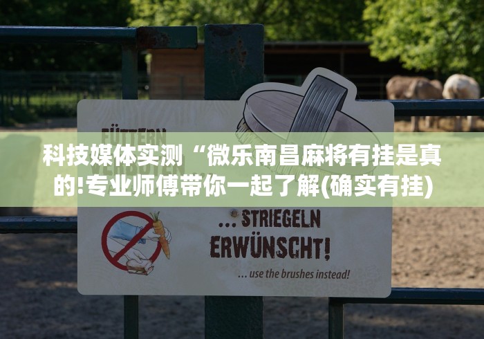 玩家必备十款微乐麻将输就一直输吗”(详细透视教程)-知乎