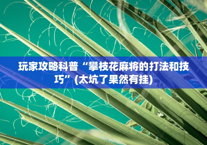 2026玩家推荐:微乐麻将有挂是真的 神器”揭秘透视辅助万能挂 
