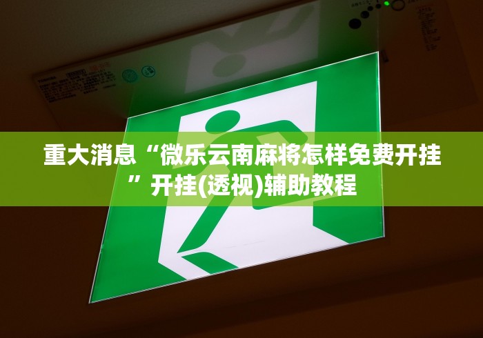 重大消息“微乐云南麻将怎样免费开挂	”开挂(透视)辅助教程