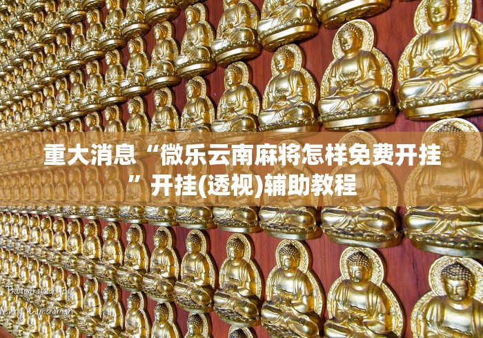 重大消息“微乐云南麻将怎样免费开挂”开挂(透视)辅助教程