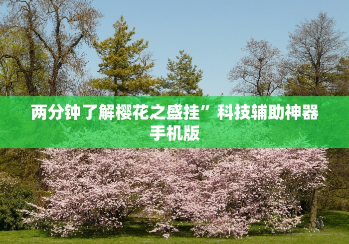 助赢神器“微乐打麻将技巧”(果然有透视挂)