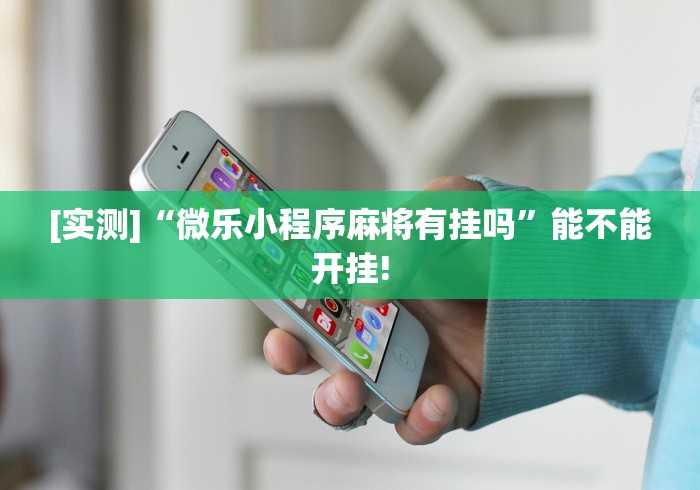 必备教程“微乐填大坑挂是真的嘛”作弊(透视)透视辅助