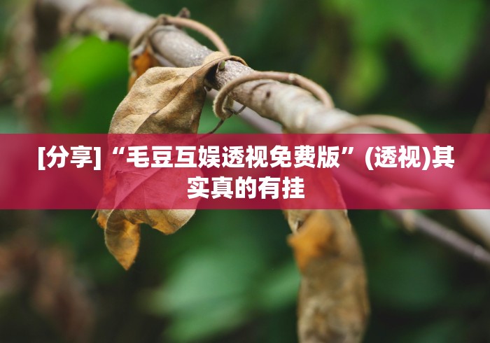 [分享]“毛豆互娱透视免费版”(透视)其实真的有挂