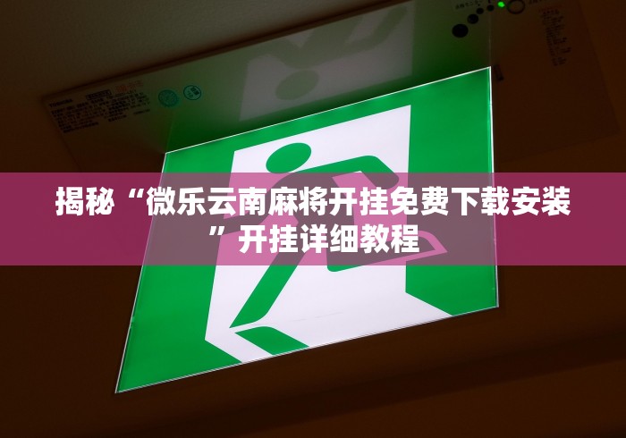 【揭秘一下】“微乐二七王万能开挂器!详细开挂教程