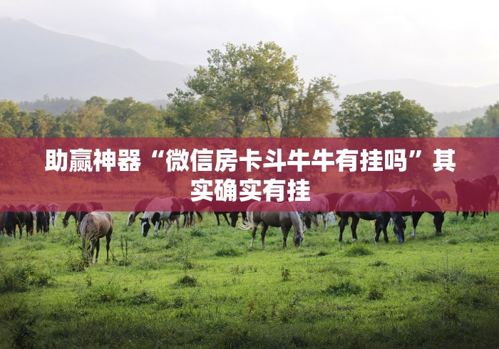 大家普及一下“微信小程序微乐麻将有技巧吗	”作弊(透视)透视辅助