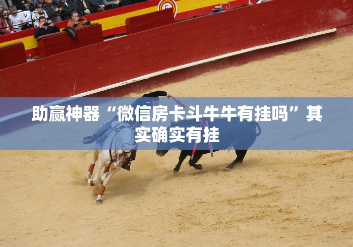 科普常识!乐斗小院可以开挂吗(确实真的有挂)