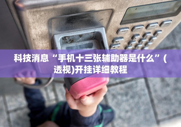 最新一款“牵手麻将有挂吗”(原来确实是有插件) 